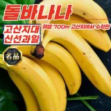 해발 700m 고산지 돌 바나나 1송이 (송이당1.0-1.2kg)