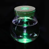 마리모 키우기 LED 유리병 꾸미기 코르크병