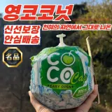 [푸디픽] 태국 베트남 영코코넛 1개