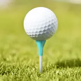나이스샷 골프티 5개입 (롱롱티 84mm) (민트) 티꽂이