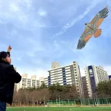연날리기 새쫓는 독수리연 110cm