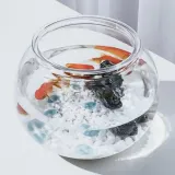 베타 미니 금붕어 키우기 플라스틱 구피 어항