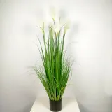 팜파스그라스 갈대 조화(화이트)(120cm) 인조갈대