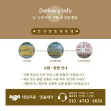 애니펀 수제 뽑기 달고나 뚱이토끼 주문제작 행사 단체 간식