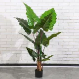 칼라테아나무 조화(120cm)