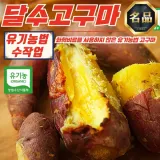 유기농 무안 당해수확 햇 달수고구마 보통 5kg