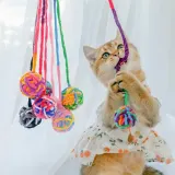PET 고양이 장난감 공 볼 털실