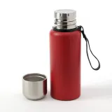 핫앤콜드 듀얼 진공 600ml 보온병(레드) 텀블러 보틀