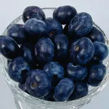 블루베리 대 125g 6팩