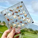 조개 미니 여행 추억 보관함 악세사리보관함 아크릴박스
