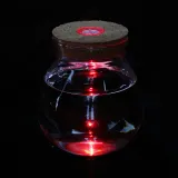 마리모 키우기 LED 유리병 꾸미기 코르크병