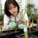 식물 접목 클립 투명 플라스틱 파이프 정원 가드닝 원예 용품 연결 고정 부품