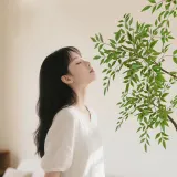 인테리어 남천나무 인조 조화 나무 D-2(180cm)(색상)