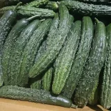 가시오이 2kg
