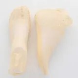 여성 레이스 덧신 양말 5켤레 세트 여름 단목 면 커버 삭스
