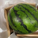 수박 4kg 달콤한과일 신선수박
