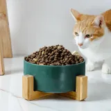 반려동물 우드받침 도자기식기(16cm) 반려동물물그릇