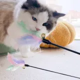 고양이 깃털 장난감 고양이 놀이 무지개 깃털 장난감