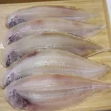 반건조 박대 15미 대 건조생선 박대생선