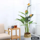극락조 조화 (160cm)