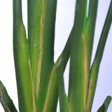 홈가든 여인초 조화 (160cm)