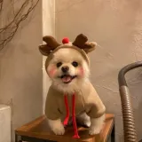 강아지 크리스마스 루돌프 하트 옷 의상