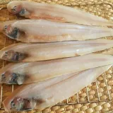 반건조 박대 10미 대 흰살생선 건어물 반건조생선