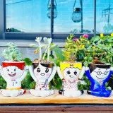 다육식물 화분 컬러링 만들기 세트 얼굴 꾸미기 미술