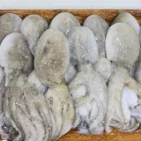 제철 냉동 쭈꾸미 2kg