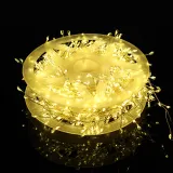 LED 1000구 USB 지네 전구 25m 리모컨포함