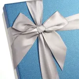 스페셜 리본 선물상자 2p세트(21x21cm) (블루)