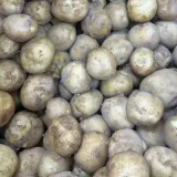 국내산 감자 10kg 중