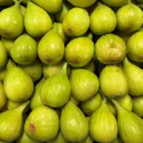 청무화과 1kg