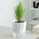 리브 자동급수 화분 자동물주기 화이트