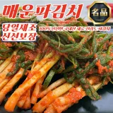 당일제조 전라도 매운 파김치 1kg (100% 국산재료)