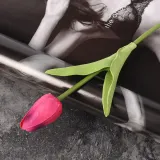 피어나 한송이 튤립조화(체리핑크) 인테리어조화