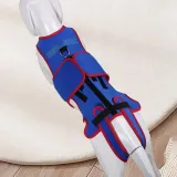 파란색 반려견 허리보호대 노견 복대 요추 고정 수술 조끼 지지대