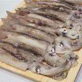 VDD 총알 오징어 1kg x 1팩