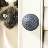 고양이 셀프 그루밍 캣잎 브러쉬 흡착