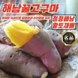 해남 황토 베니하루카 꿀고구마 3kg 한입 (60g이하)