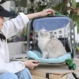 마이펫 투명 캐리어 이동가방03