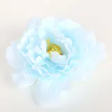 베타 은신처 스카이 물고기은신처