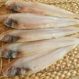 반건조 박대 5미 대 생선구이생선 건조박대 말린생선