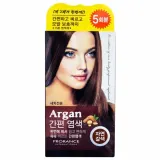 프로랑스 아르간 간편 염색약 5회분-자연갈색