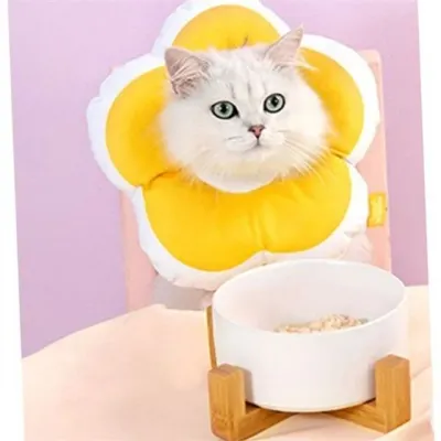 고양이 꽃 넥 카라 고양이 수술 넥 카라 반려동물 도넛 식빵 쿠션