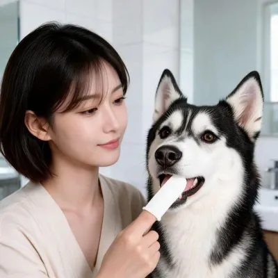 강아지 고양이 손가락 칫솔 구취 제거 펫 반려동물 관리 치아 케어 관리용품