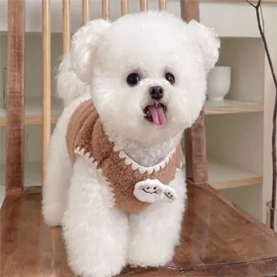 강아지 뽀글이 조끼 강아지 뽀글이 옷 따뜻한 애견 반려동물 겨울 방한복 방한