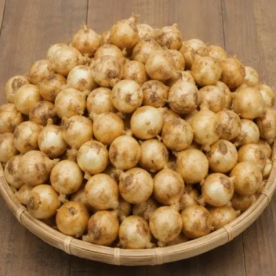 전라남도 무안 양파 소 10kg 15kg