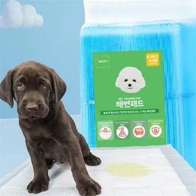 애견 배변 패드 강아지 배변 패드 무형광 향균 반려동물 흡수 펄프 위생 탈취 훈련 방수 생활