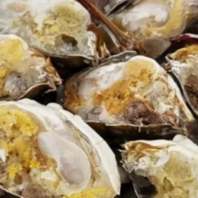 국내산 냉동 절단 암꽃게 2kg 국내산꽃게 급속냉동꽃게